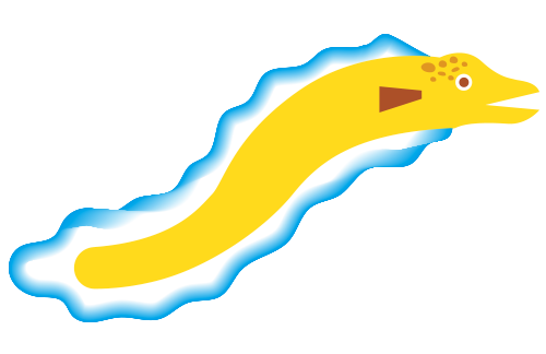 Une anguille électrique